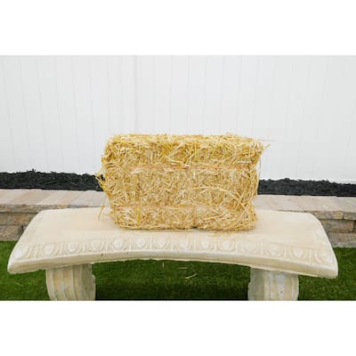 USA PINESTRAW Box of 160 Sq.ft. Long Needle Pine Straw Mulch  HD-88-3EQ8-R75E - The Home Depot