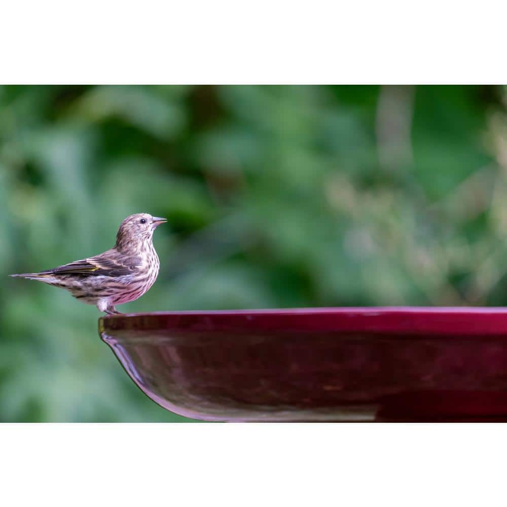 Burgundy Ceramic Clay Pedestal Bird Bath, 22"H x 17"D