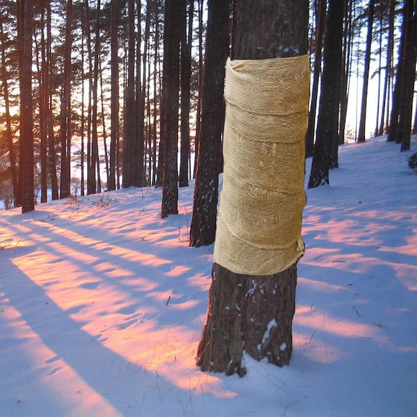 5.3 ft. W x 30 ft. L Natural Burlap Fabric-Premium Weed Barrier for Raised Beds, Seed Cover AND Tree Protection