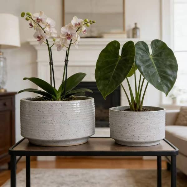 (Set of 2) 6.50 in. Milk White Round Ceramic Plant Pot with Drainage Hole Weather-Resistant for Indoor Outdoor Garden