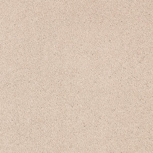Appreciate II  - Bliss - Beige 58 oz. Triexta Texture Installed Carpet
