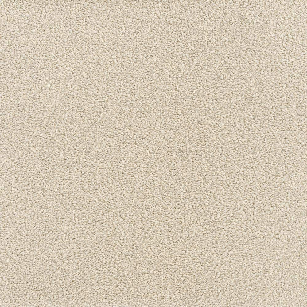 8 in. x  8 in. Texture Carpet Sample - Spicework I -Color Bishop price history on PriceWatchPro