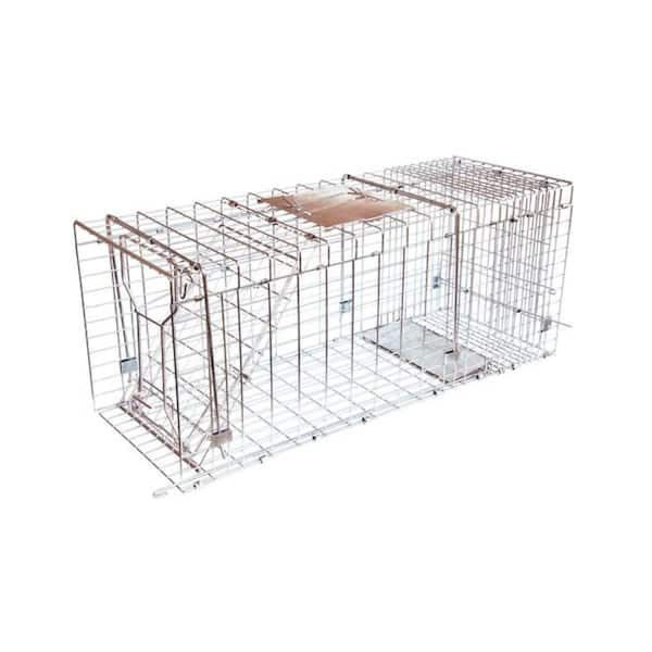 JT Eaton Answer Single Door Live Animal Cage Trap for Medium to Large Size Pests Steel Wire