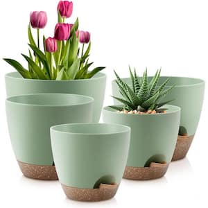 Modern 6 in. L x 10 in. W x 8 in. H Green Plastic Round Indoor Planter (5-Pack)