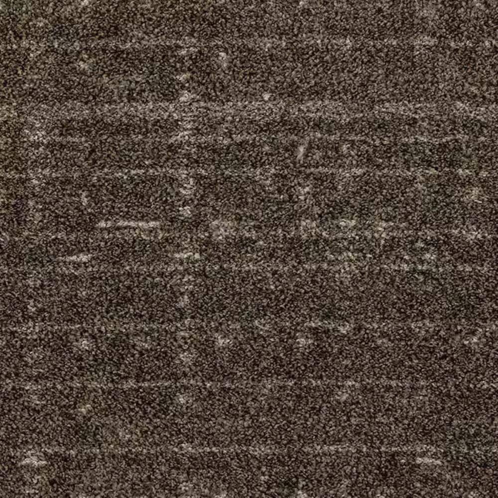 8 in. x 8 in. Pattern Carpet Sample - Cozy Tale - Color Shadowfern price history on PriceWatchPro