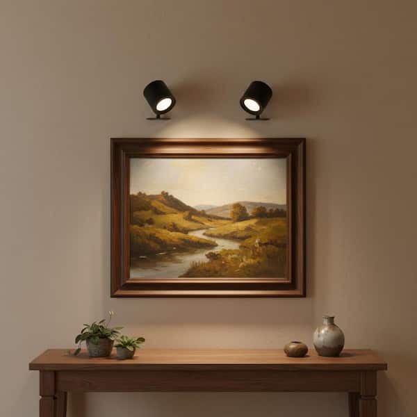 Picture Lights 2 Pack, 360° Rotating Wall Sconces with Remote, Dimmable Black LED Wall Lamps for Bedroom Living Room