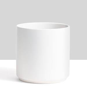 8 in. White Ceramic Indoor Planter (7 in. to 12 in.)