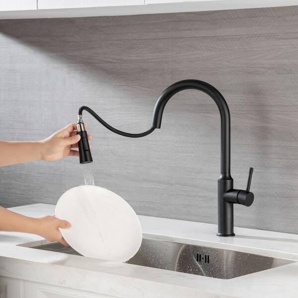 Single Handle Pull Down Sprayer Kitchen Faucet with Multifunctional Sprayer  in Matte Black