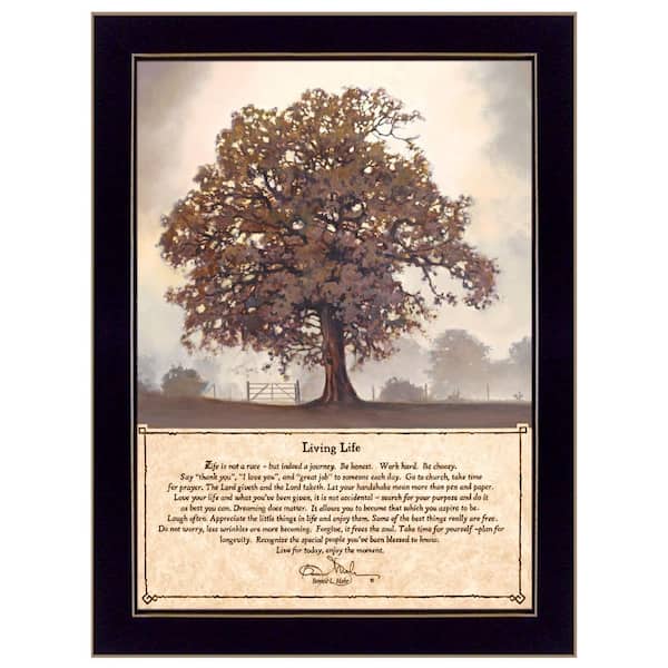 Afoxsos Multi-color Living Life Framed Wall Art Modern Home Framed Print for Living Room by Bonnie Mohr Decorative Sign