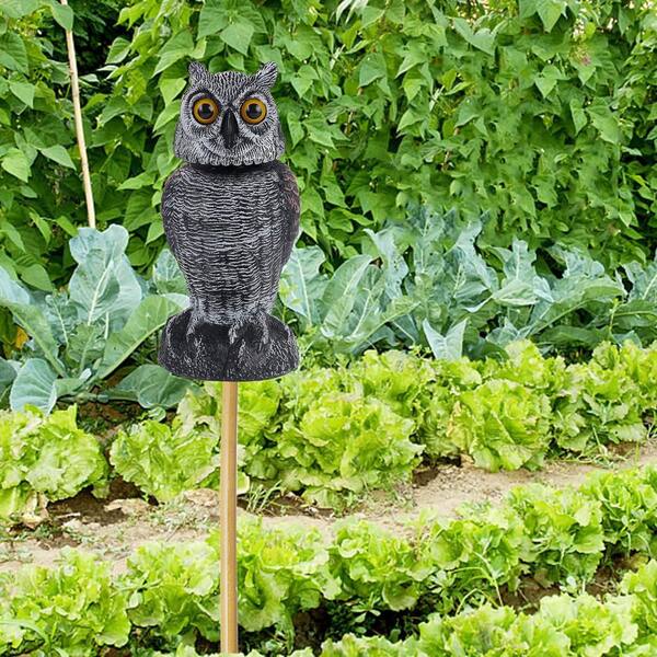 Black Realistic Owl Bait Sculpture Product Type, (2-Pack