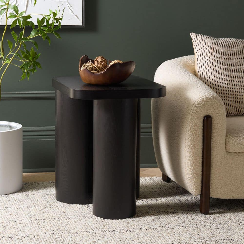 Ahani 23.8 in. Black Wood End Table