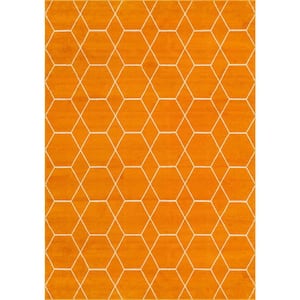 Trellis Frieze Orange/Ivory 10 ft. x 14 ft. Geometric Area Rug