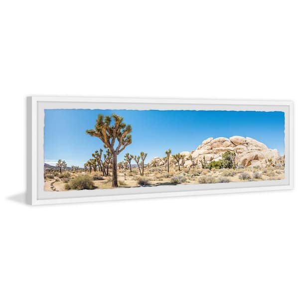 Desierto florido, canvas 50x50 c/marco