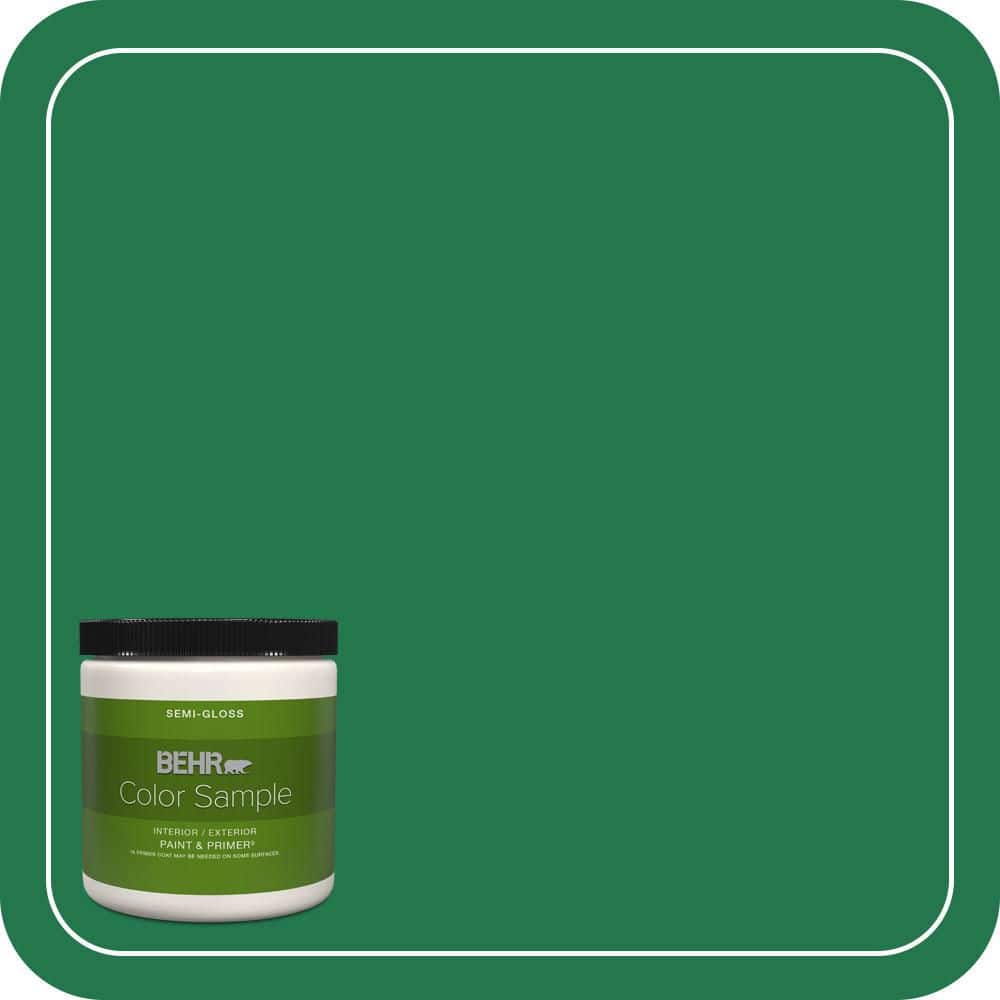 8 oz. #460B-7 Pine Grove Semi-Gloss Interior/Exterior Paint & Primer Color Sample price history on PriceWatchPro