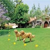High Tech Pet Humane Contain 50 Acre Multi-Function In-Ground Ultra  Electronic Dog Fence X-10 - The Home Depot