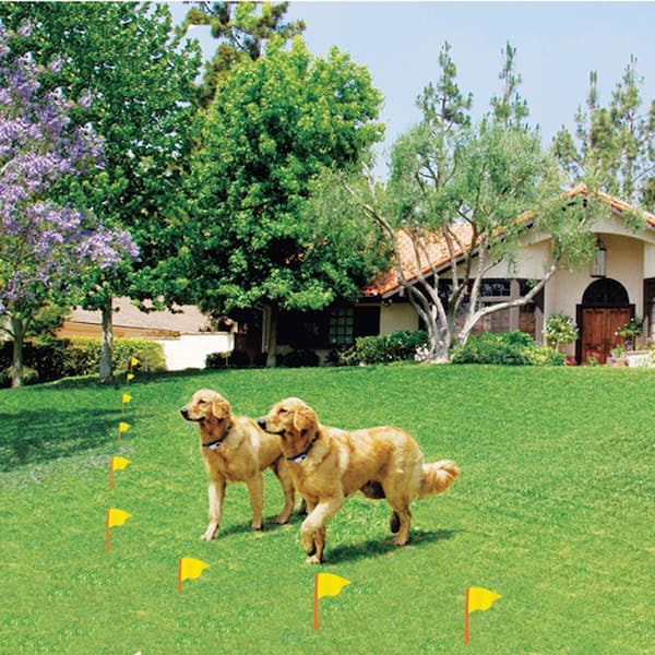 Extreme Dog Fence Underground Ultimate Electric Dog Fence Standard Grade and Pro Grade Options Can Contain an Unlimited Number of Dogs on Up to 10 Acres Powered by Perimeter Technologies