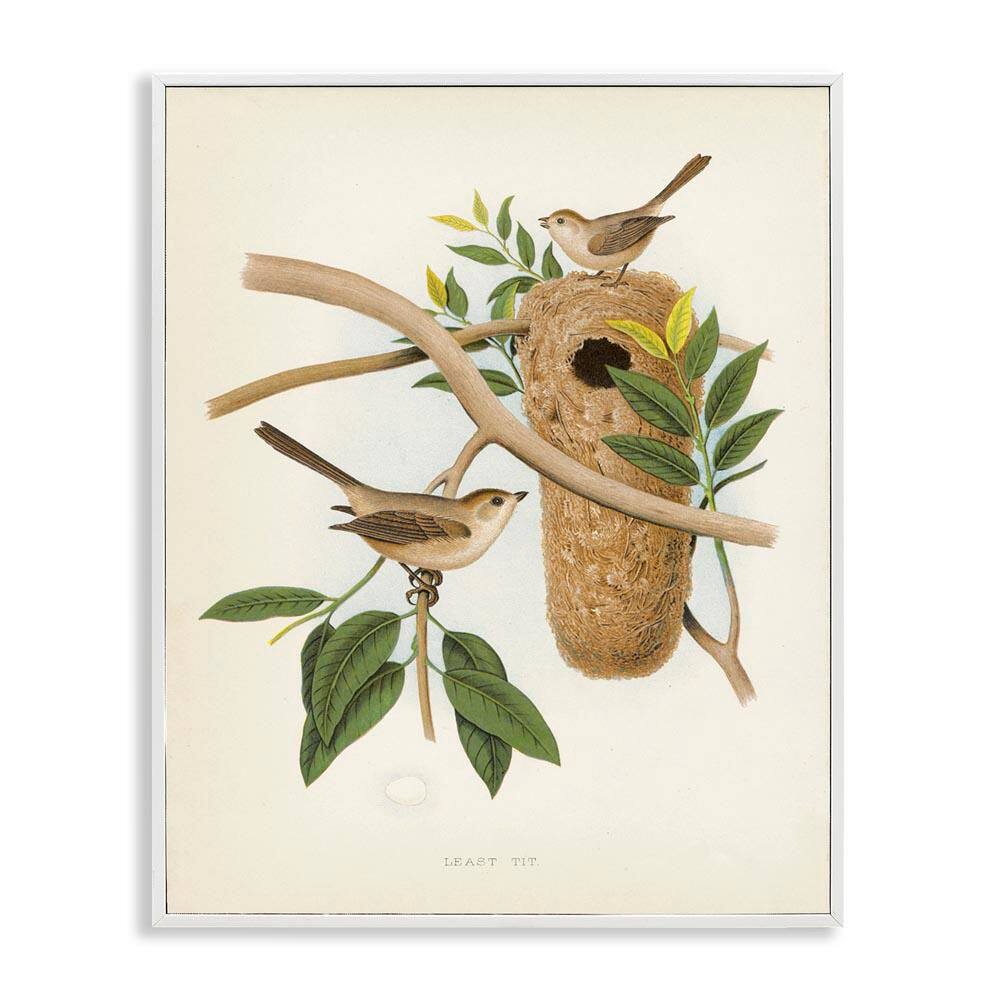 Vintage Bird House Study by Tina Higgins Designs, Inc. White Framed Nature Giclee Art Print 14 in. x 11 in. price history on PriceWatchPro