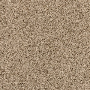 Household Hues II Soft Clay Brown 41 oz. Polyester Textured Installed Carpet
