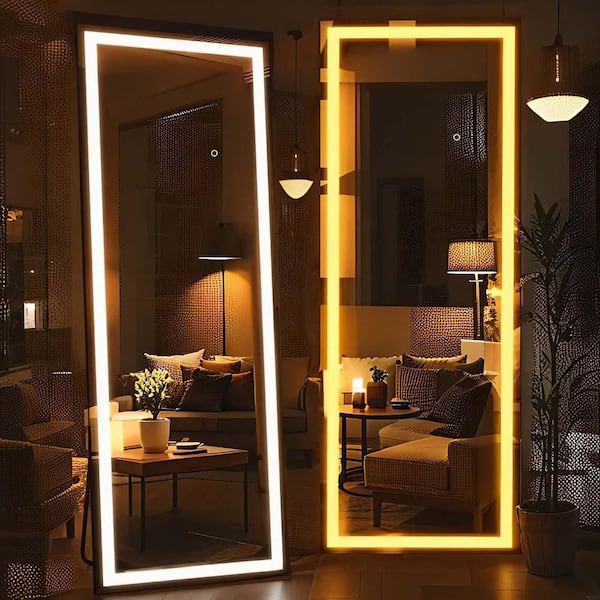 Unbranded Black 24 in. W x 67 in. H Full Length Floor Mirror with LED Lights, Wall Mounted or Standing Full Body Dressing Mirror