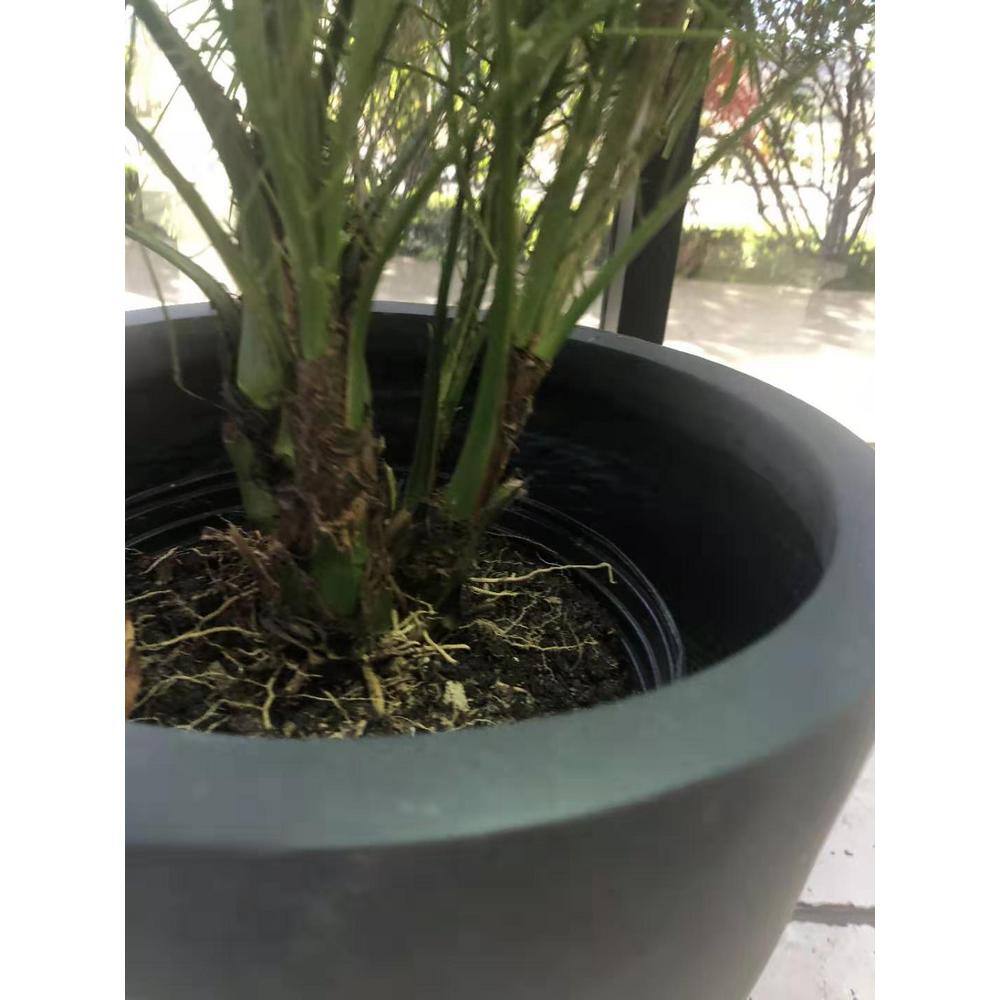 Charcoal Round Concrete Planter with Smooth Finish, 19"