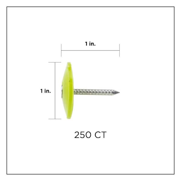 1 in. Electro Galvanized Ring Shank Nail with Plastic Cap (250-Count)