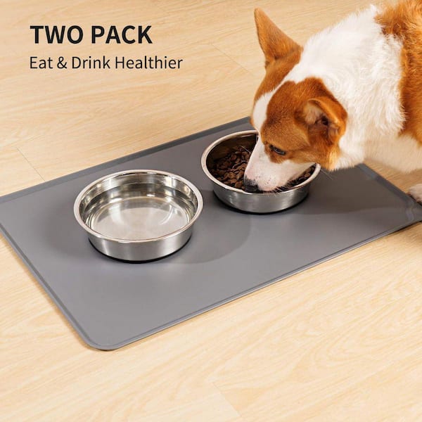 Stainless Steel Dog Bowls 8 Cup Set of 2 Silicone Base Anti-Slip