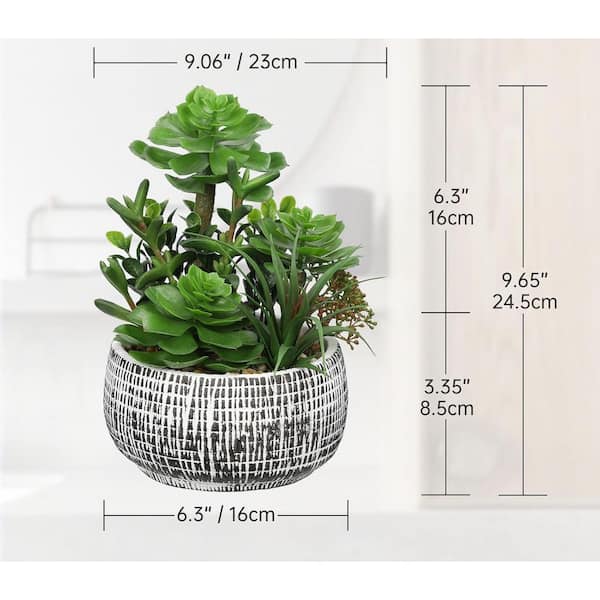 hanging pots for indoor plants Golden Pothos Hanging Basket  Air Purifying Indoor Plant