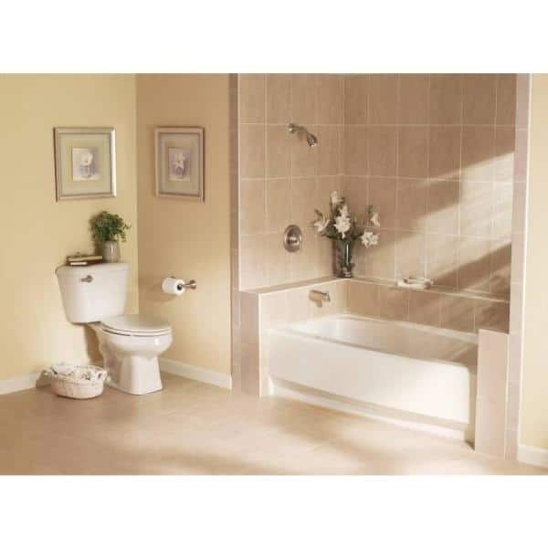 Sage Brushed Nickel Wall Mounted Toilet Paper Holder