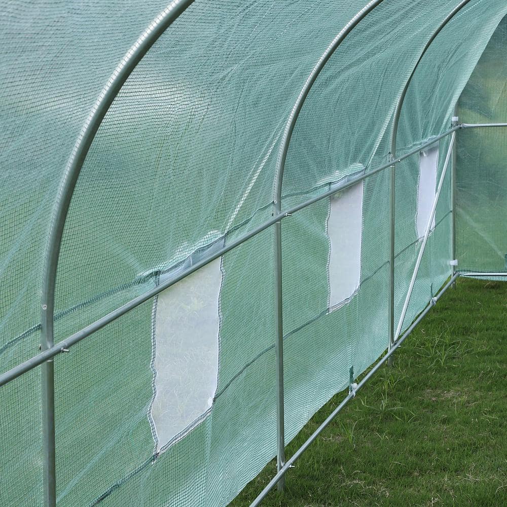 Large Green Steel Frame Walk-In Tunnel Greenhouse with Roll-Up Windows