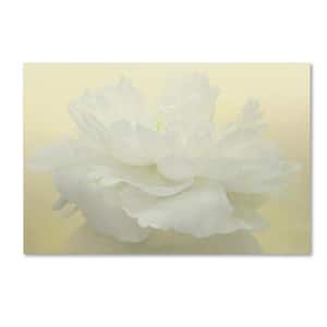 16 in. x 24 in. "Pure White Peony" by Cora Niele Printed Canvas Wall Art