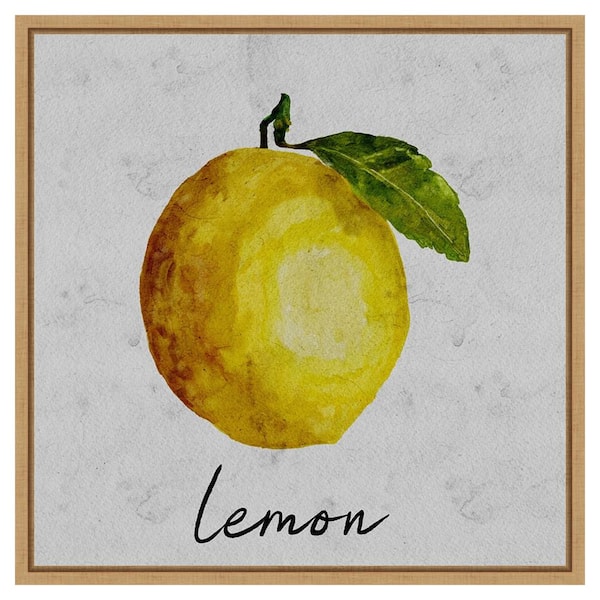 Amanti Art Summertime Citrus II by Regina Moore 22 in. W x 22 in. H. Canvas Wall Art Print Framed in Brown