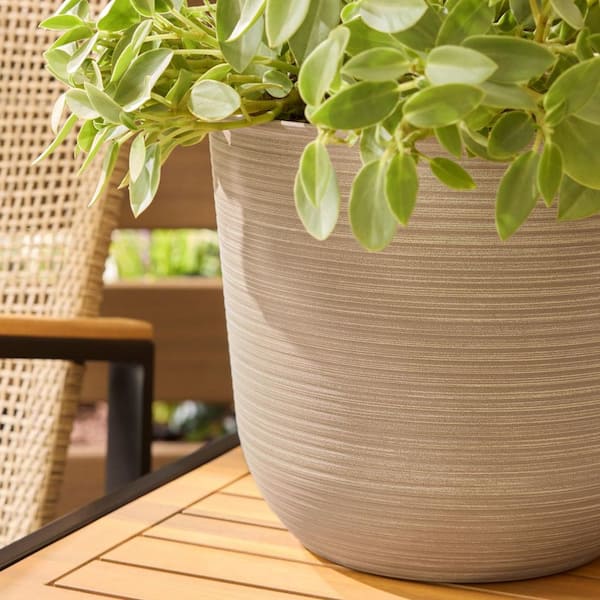 Vigoro Thatcher Medium Beige Plastic Round Planter with Drainage Hole (11.3  in. L x 11.3 in. W x 9.5 in. H) RT2173M