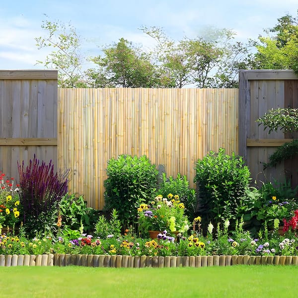 Natural Rolled Bamboo Fence, Eco-Friendly 6 ft. H x 8 ft. L x 0.75 in. D Privacy Screen for Garden, Backyard, Patio