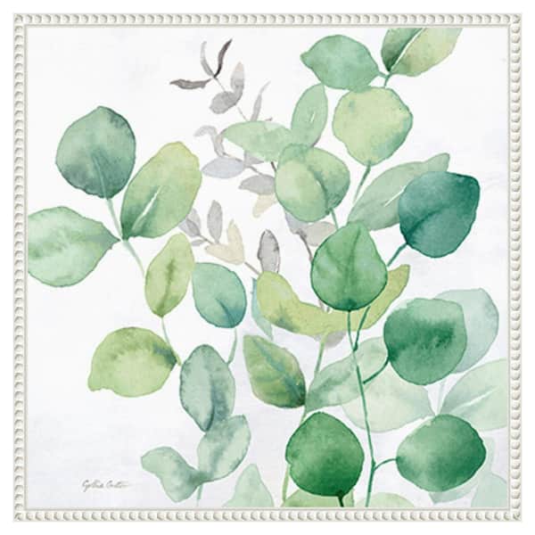 Amanti Art Eucalyptus Leaves I by Cynthia Coulter 22 in. W x 22 in. H Canvas Float Frame in White