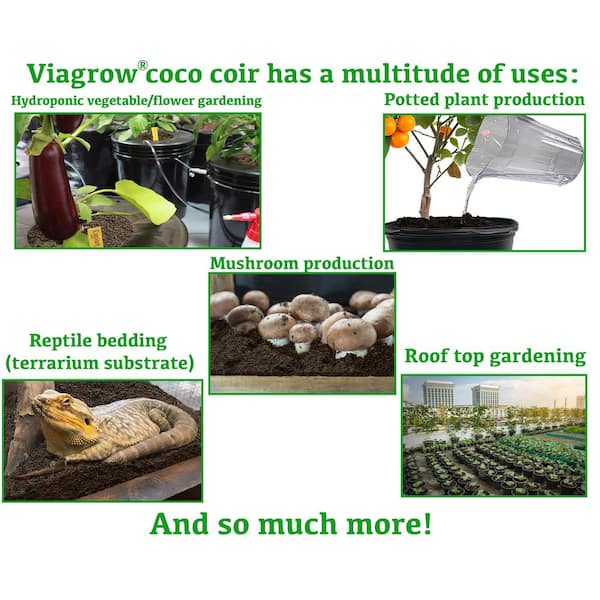 Viagrow 7 Gal. 11.74 in. x 11.5 in. Plastic Nursery Gardening