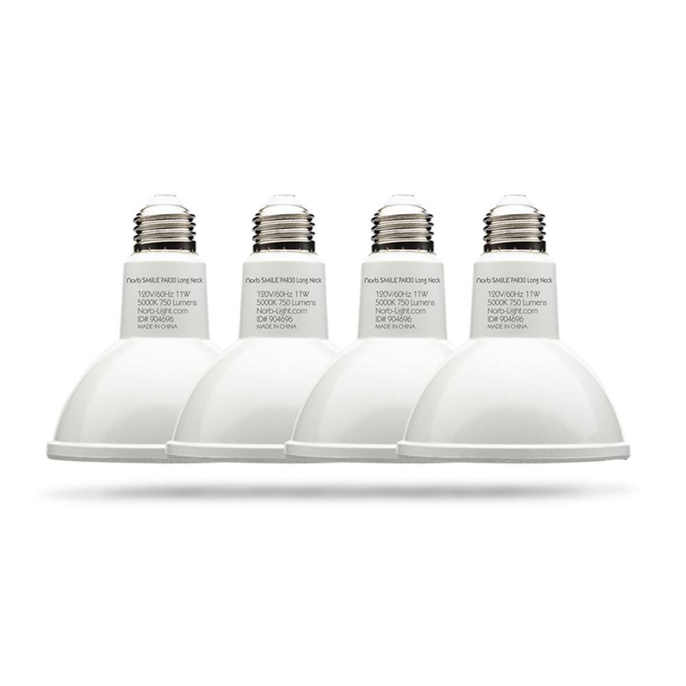 ELECWISH NorbSMILE 11W Equivalent PAR30 SunSpectrum 5000K Smile Bright