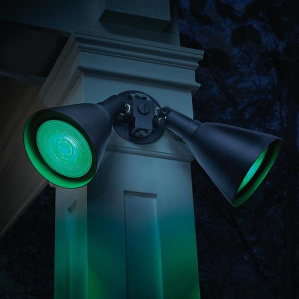 EcoSmart 90-Watt Equivalent PAR38 Green Color Decorative Indoor