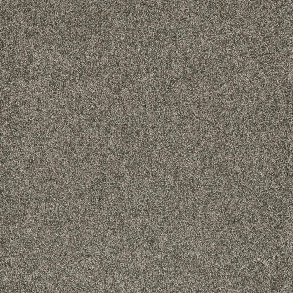 8 in. x  8 in. Texture Carpet Sample - Bradmore II -Color Jolly price history on PriceWatchPro