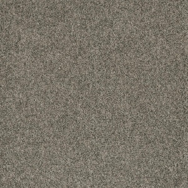 Home Decorators Collection 8 in. x  8 in. Texture Carpet Sample - Bradmore II -Color Jolly