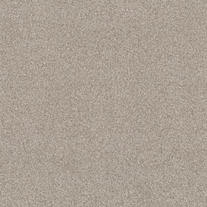 Urban Artifact I - Vanilla - Beige 46.8 oz. Nylon Texture Installed Carpet