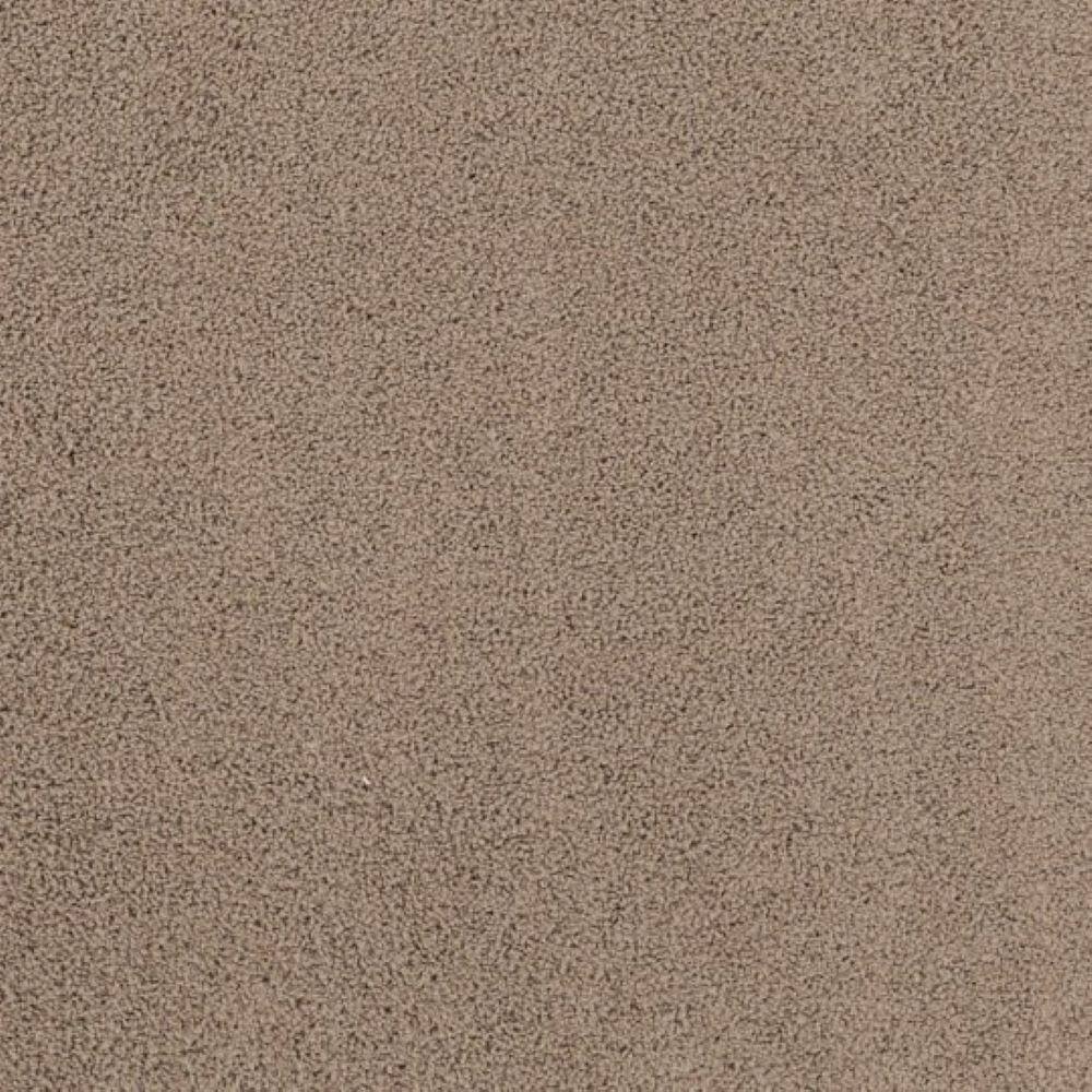 8 in. x 8 in. Texture Carpet Sample - Around The World - Color Bird House price history on PriceWatchPro