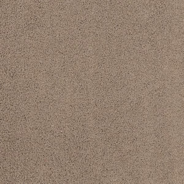 Lifeproof 8 in. x 8 in. Texture Carpet Sample - Around The World - Color Bird House