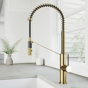 Livingston Single Handle Pull-Down Sprayer Kitchen Faucet in Matte Brushed Gold