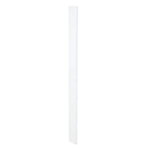White Shaker Style Kitchen Cabinet Filler (3 in W x 0.75 in D x 34.5 in H)