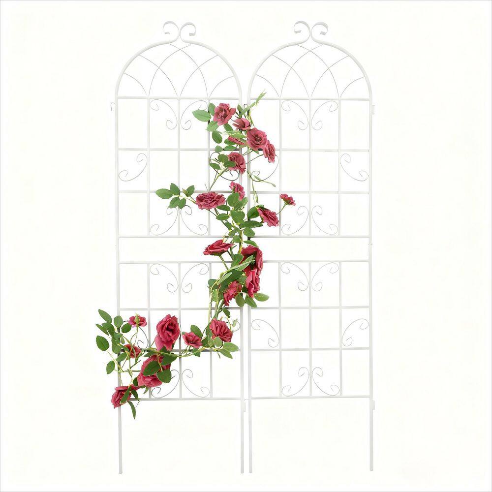 2 Pack Metal Garden Trellis 71 in. x 19.7 in. Rustproof Trellis for Climbing Plants Outdoor Flower Support price history on PriceWatchPro