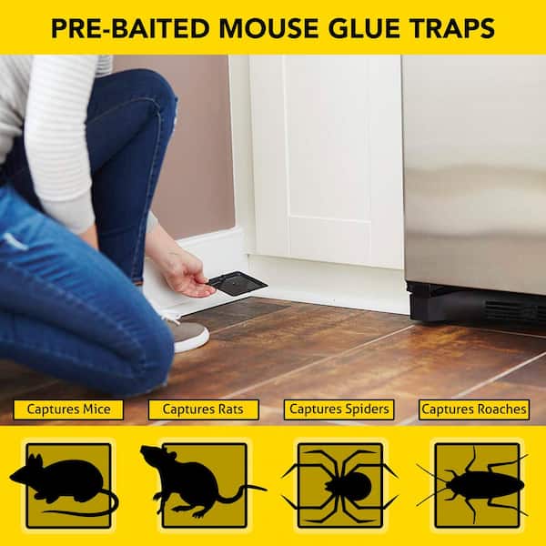 Mouse Glue Trap, Professional Strength, 4-Pk.