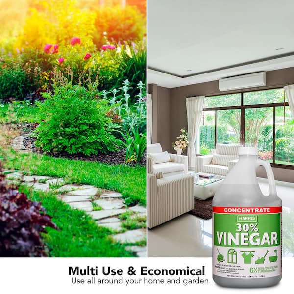 Wendy's All Purpose 30% Vinegar Extra Strength - Concentrated Industrial  Vinegar for Home and Garden Deep Cleaning (1 Gallon)