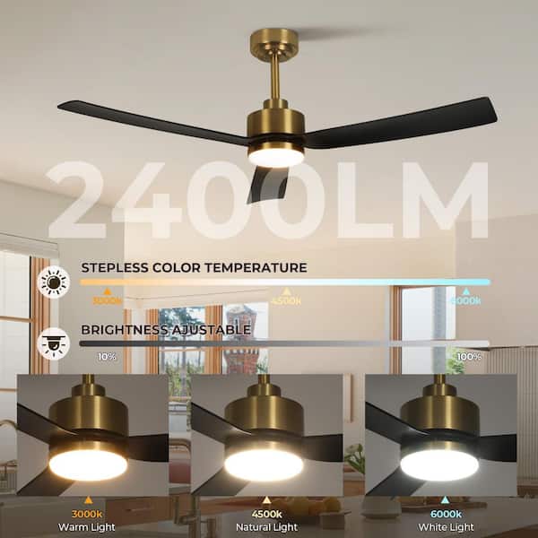 TOZING 52 in. Indoor Matte Black Gold Low Profile Modern LED
