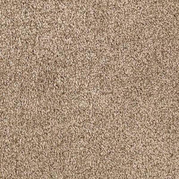 Lifeproof Carpet Sample - Pitch's Gate II - Color Pebble Texture 8 in. x 8 in.