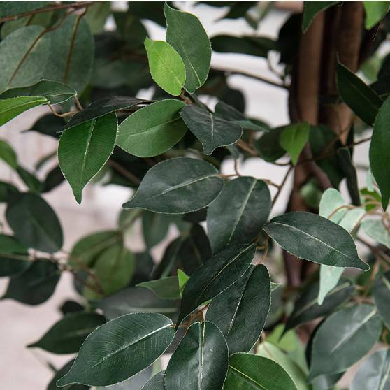 72" Tall Artificial Ficus Silk Tree in Black Pot
